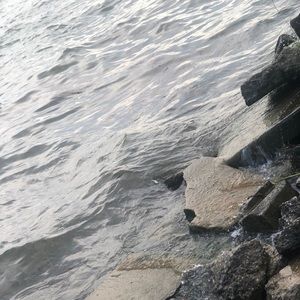 Meet your Posher, Celine